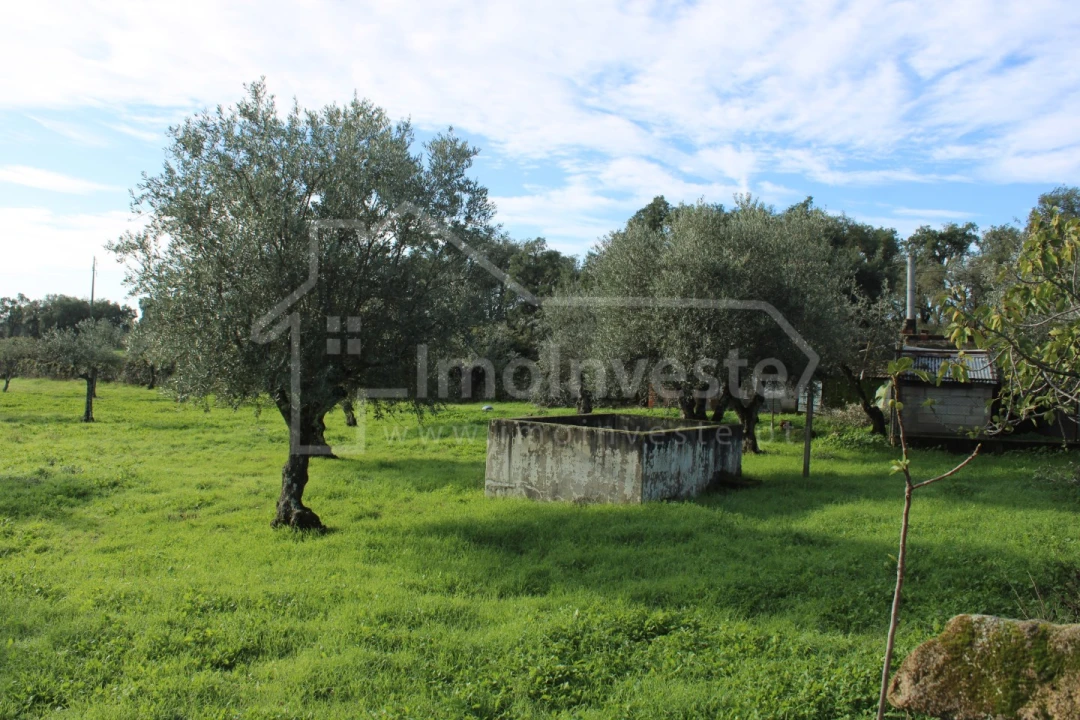 Terreno Agricola ou Rústico para Venda em Alcains Foto 10