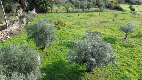 Terreno Agricola ou Rústico para Venda em Alcains