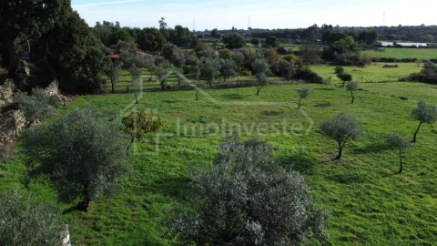 Terreno Agricola ou Rústico para Venda em Alcains