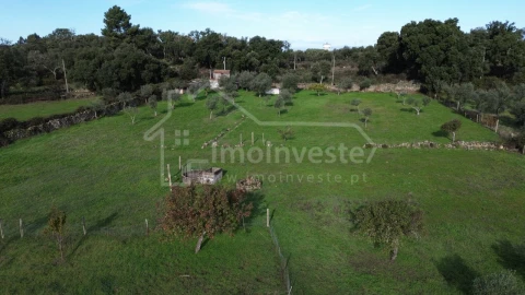 Terreno Agricola ou Rústico para Venda em Alcains