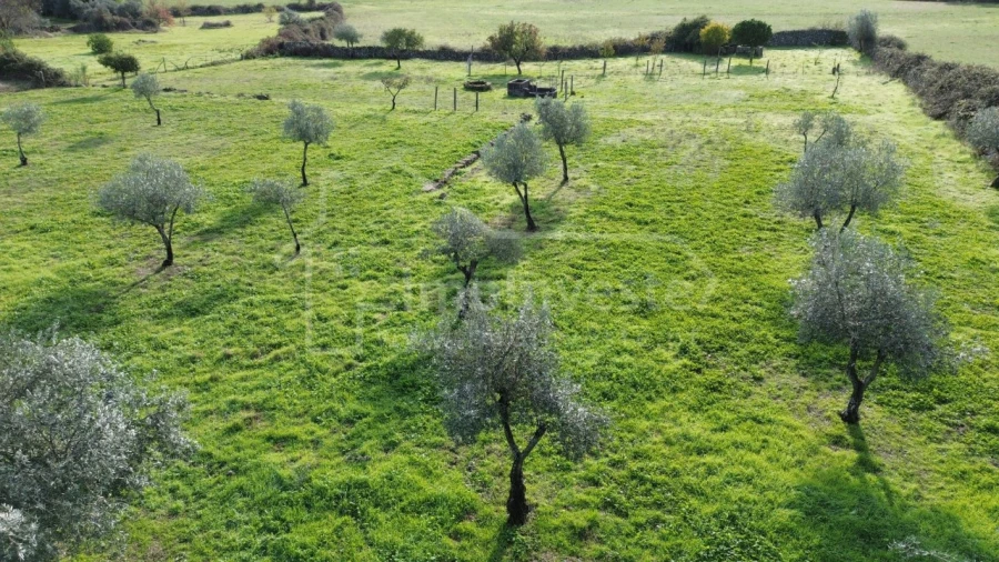 Terreno Agricola ou Rústico para Venda em Alcains Foto 5