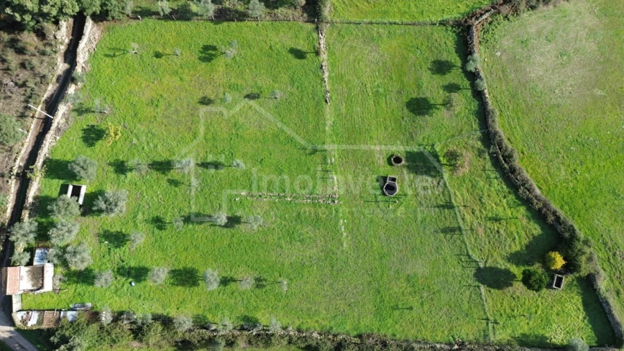 Terreno Agricola ou Rústico para Venda em Alcains
