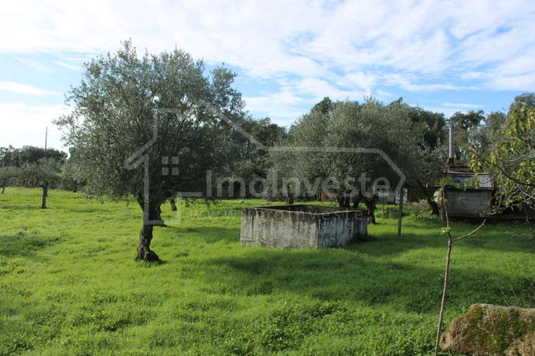 Terreno Agricola ou Rústico para Venda em Alcains Foto 10
