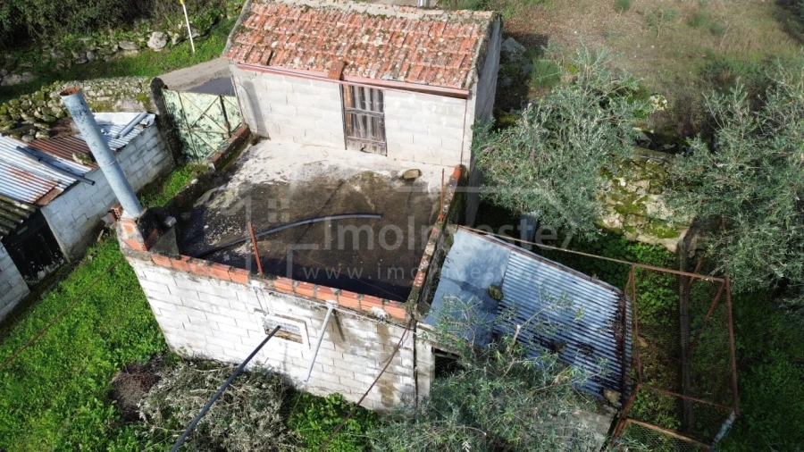 Terreno Agricola ou Rústico para Venda em Alcains Foto 13
