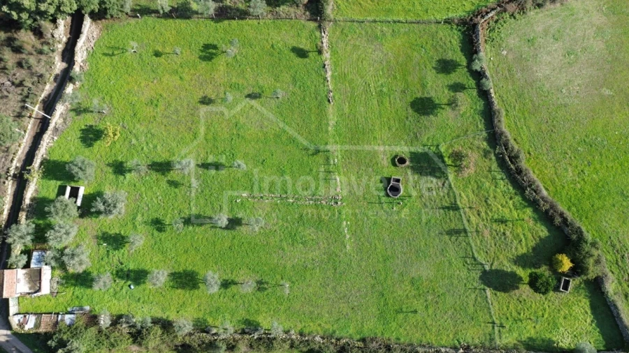 Terreno Agricola ou Rústico para Venda em Alcains