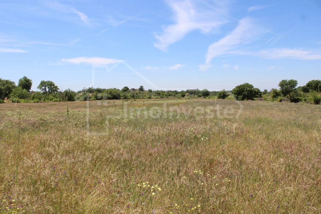 Terreno Agricola ou Rústico para Venda em Monsanto e Idanha-A-Velha Foto 4