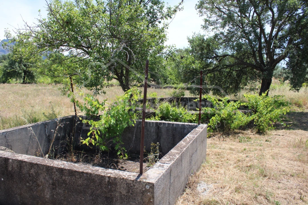 Terreno Agricola ou Rústico para Venda em Monsanto e Idanha-A-Velha Foto 8
