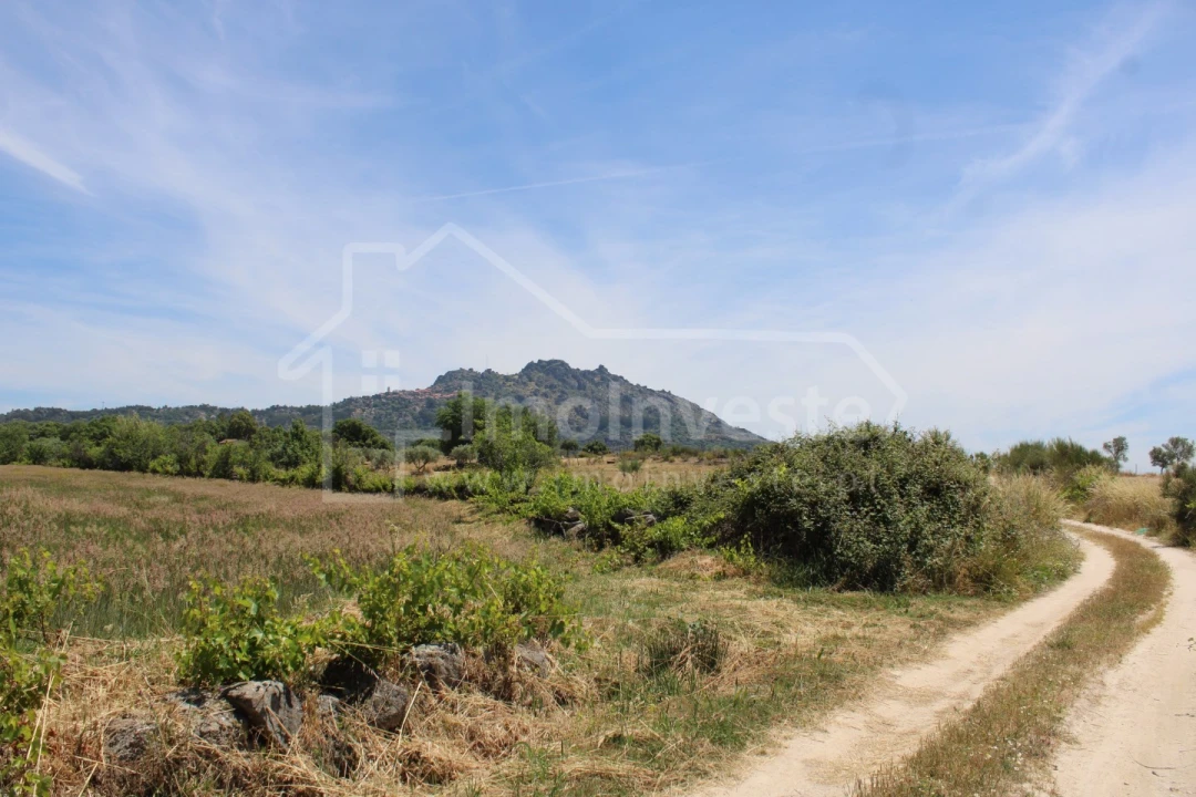 Terreno Agricola ou Rústico para Venda em Monsanto e Idanha-A-Velha Foto 11