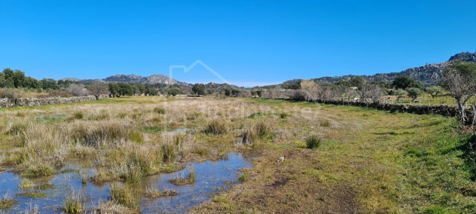 Terreno Agricola ou Rústico para Venda em Monsanto e Idanha-A-Velha Foto 12