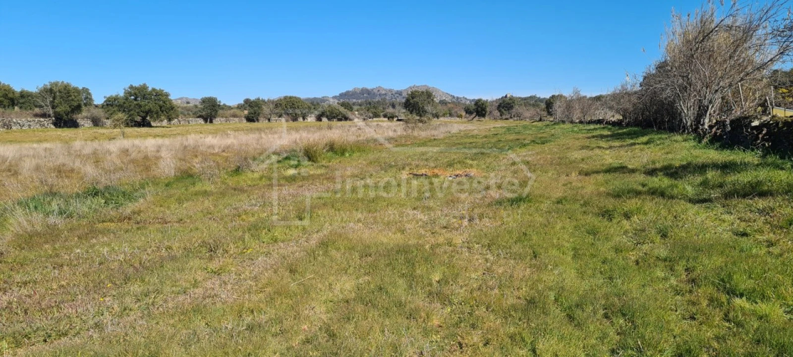 Terreno Agricola ou Rústico para Venda em Monsanto e Idanha-A-Velha Foto 14