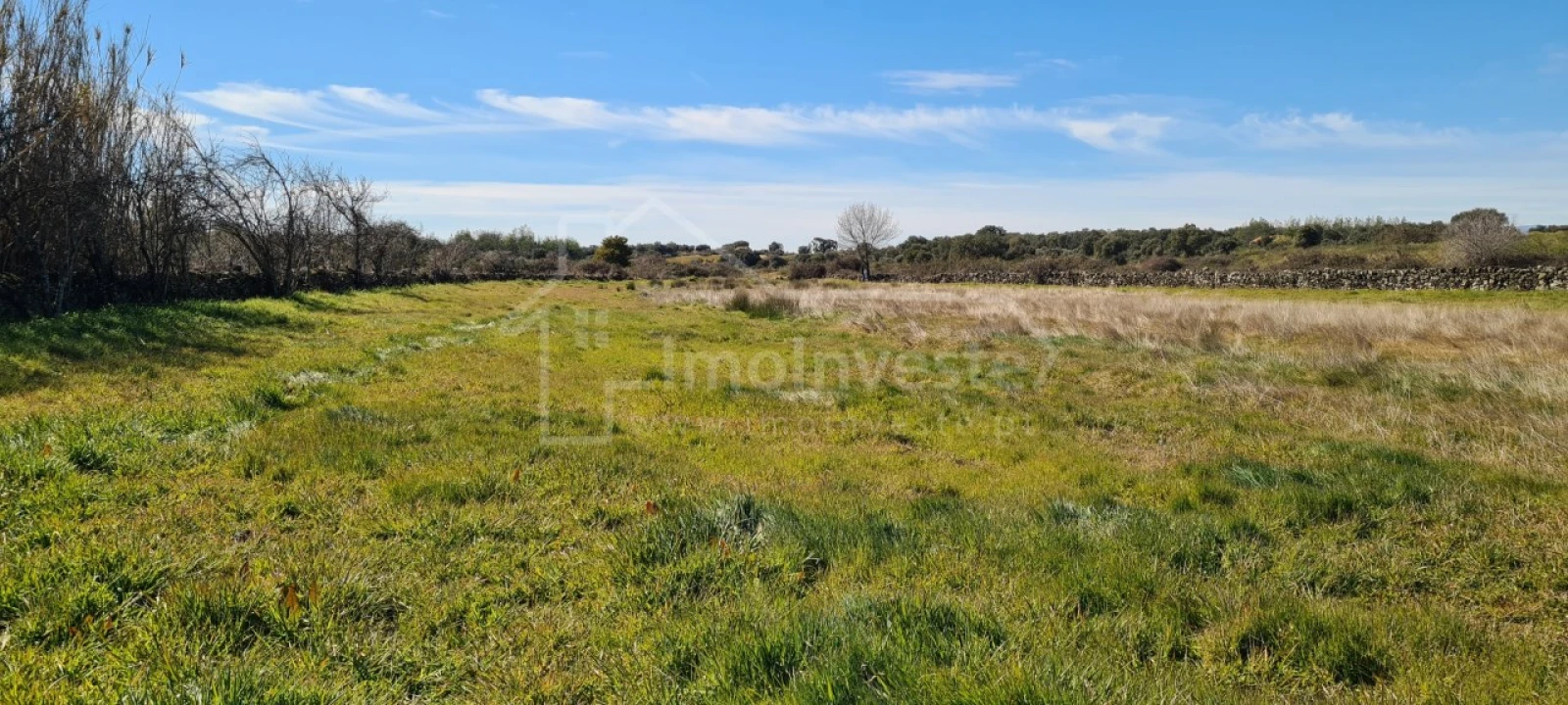 Terreno Agricola ou Rústico para Venda em Monsanto e Idanha-A-Velha Foto 17