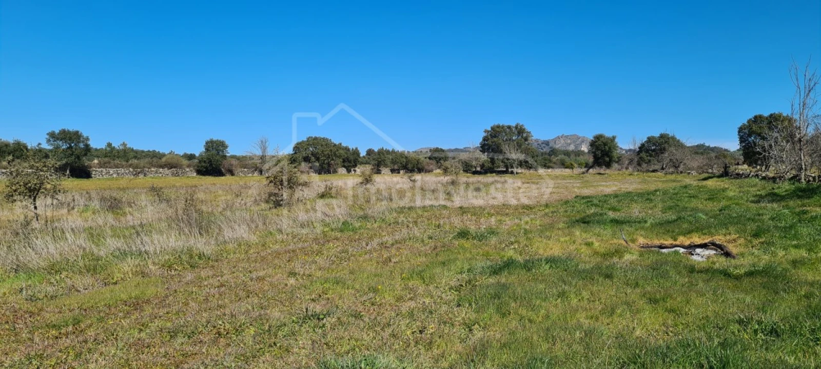 Terreno Agricola ou Rústico para Venda em Monsanto e Idanha-A-Velha Foto 18