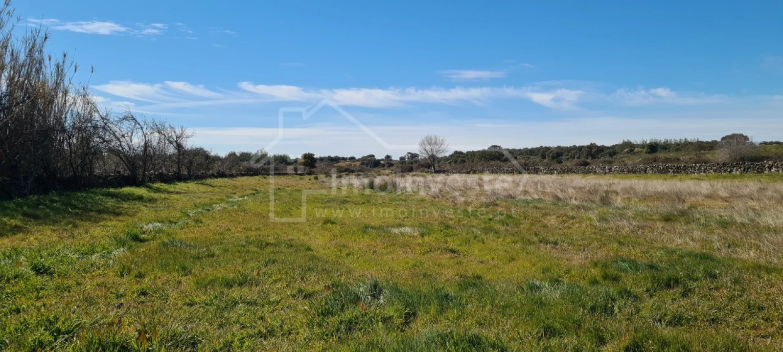 Terreno Agricola ou Rústico para Venda em Monsanto e Idanha-A-Velha Foto 19