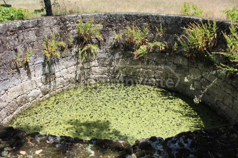 Terreno Agricola ou Rústico para Venda em Monsanto e Idanha-A-Velha Foto 9