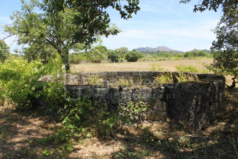 Terreno Agricola ou Rústico para Venda em Monsanto e Idanha-A-Velha Foto 3