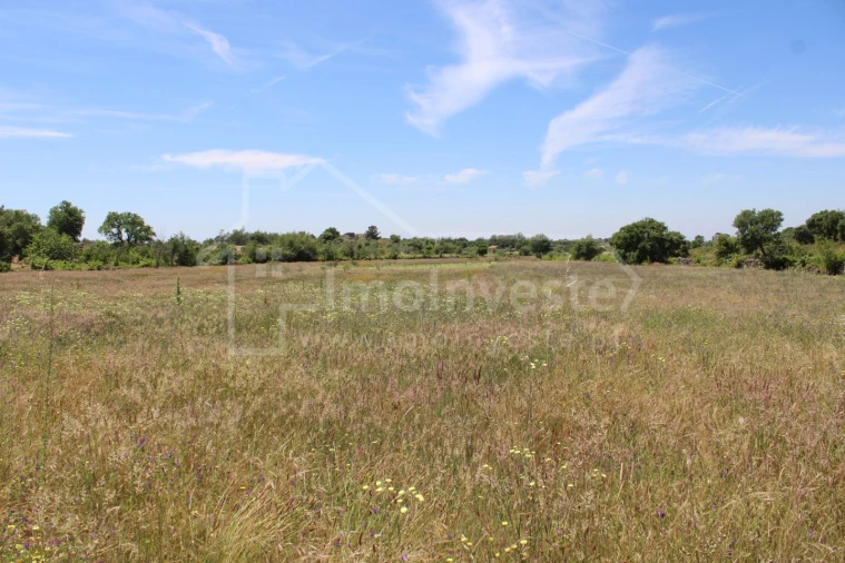Terreno Agricola ou Rústico para Venda em Monsanto e Idanha-A-Velha Foto 4
