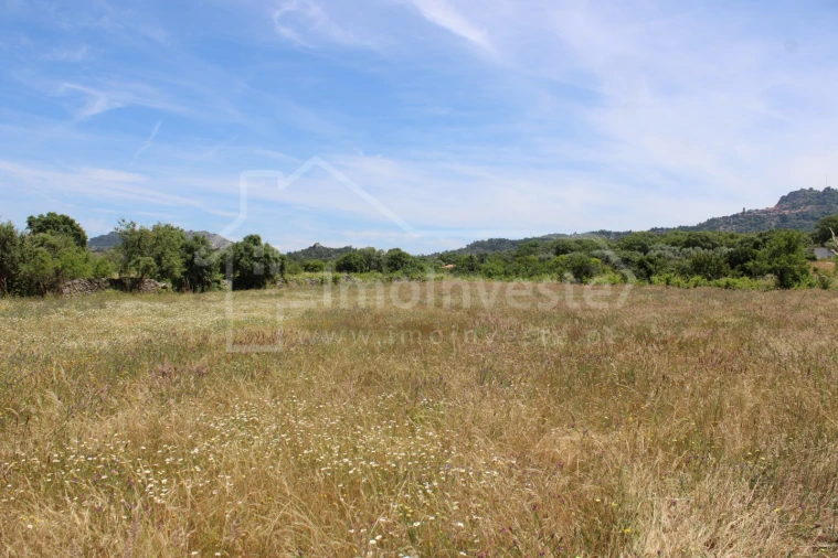 Terreno Agricola ou Rústico para Venda em Monsanto e Idanha-A-Velha Foto 6