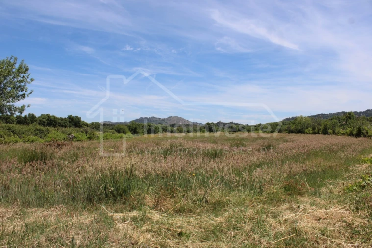 Terreno Agricola ou Rústico para Venda em Monsanto e Idanha-A-Velha Foto 10