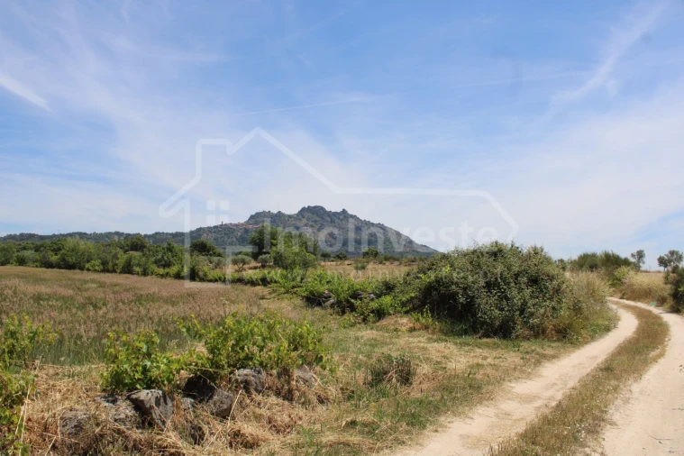 Terreno Agricola ou Rústico para Venda em Monsanto e Idanha-A-Velha Foto 11