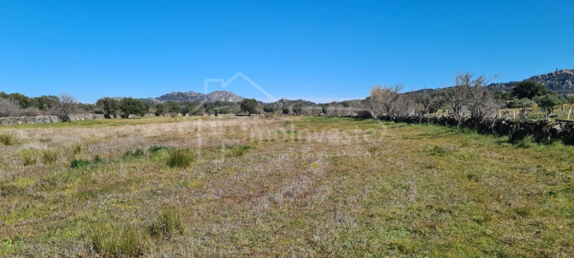 Terreno Agricola ou Rústico para Venda em Monsanto e Idanha-A-Velha Foto 13