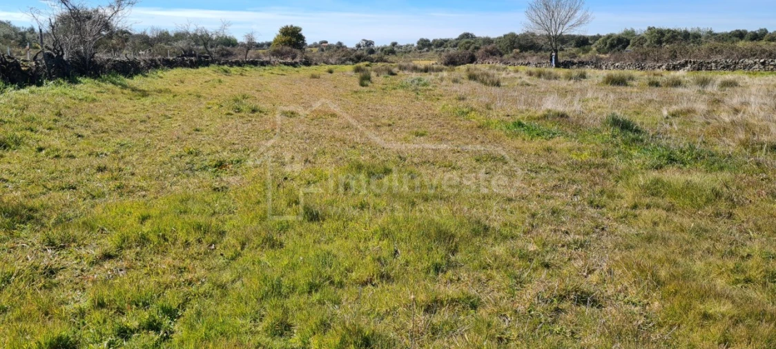 Terreno Agricola ou Rústico para Venda em Monsanto e Idanha-A-Velha Foto 15