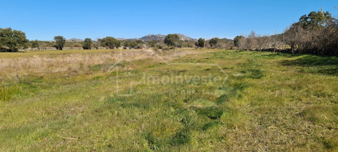 Terreno Agricola ou Rústico para Venda em Monsanto e Idanha-A-Velha Foto 16