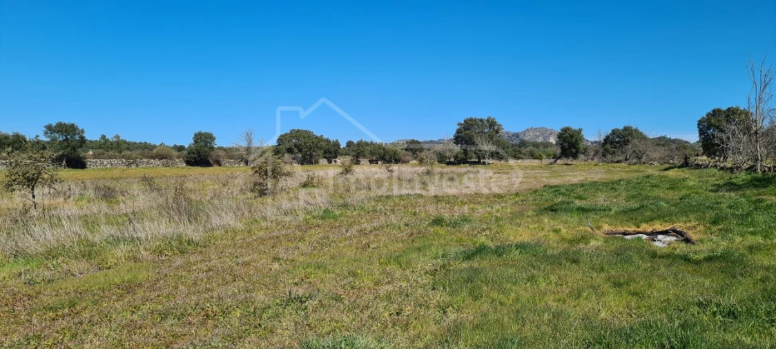 Terreno Agricola ou Rústico para Venda em Monsanto e Idanha-A-Velha Foto 18