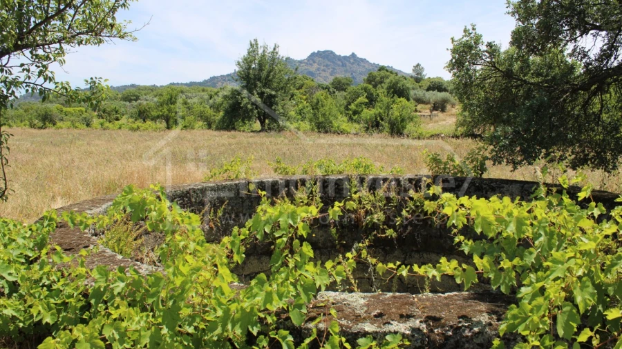 Terreno Agricola ou Rústico para Venda em Monsanto e Idanha-A-Velha