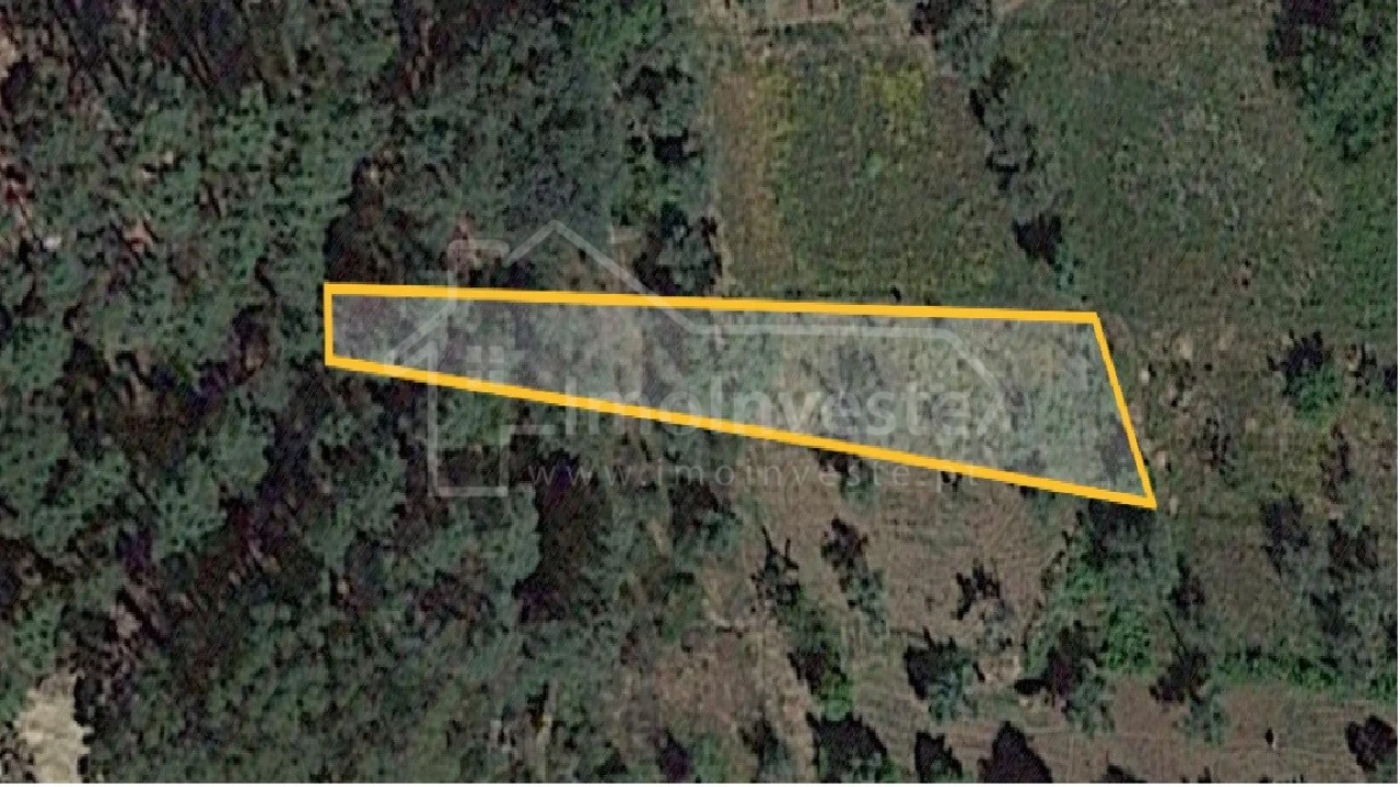 Terreno Agricola ou Rústico para Venda em São Vicente da Beira Foto 1