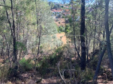Terreno Agricola ou Rústico para Venda em São Vicente da Beira