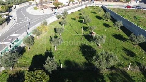 Terreno para Venda em Alcains