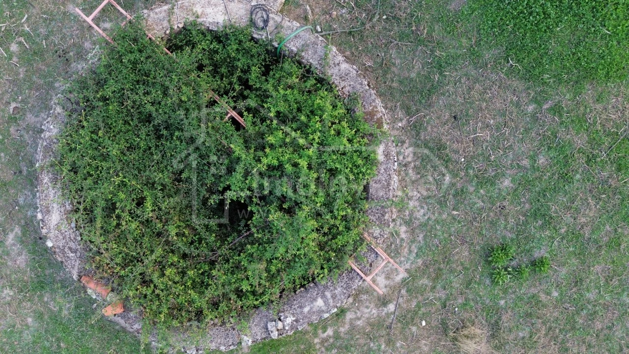 Terreno Agricola ou Rústico para Venda em Escalos de Cima e Lousa Foto 6