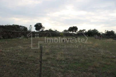 Terreno Agricola ou Rústico para Venda em Escalos de Cima e Lousa