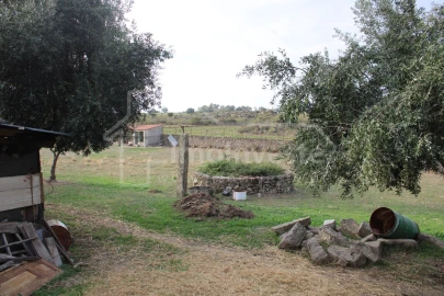 Terreno Agricola ou Rústico para Venda em Escalos de Cima e Lousa