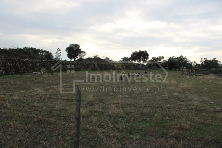 Terreno Agricola ou Rústico para Venda em Escalos de Cima e Lousa Foto 3