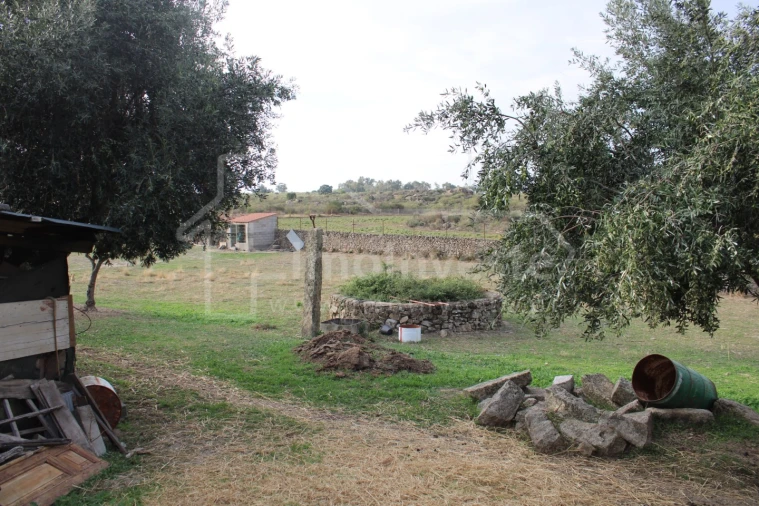 Terreno Agricola ou Rústico para Venda em Escalos de Cima e Lousa Foto 5