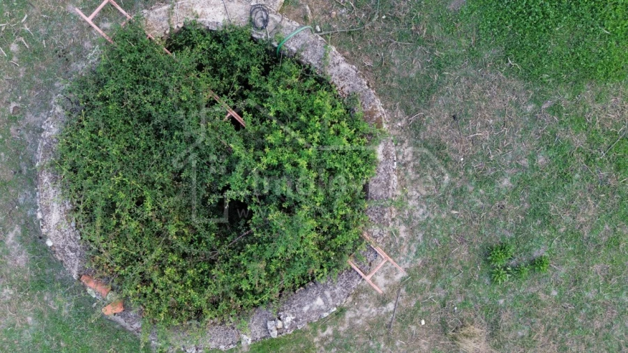 Terreno Agricola ou Rústico para Venda em Escalos de Cima e Lousa Foto 6