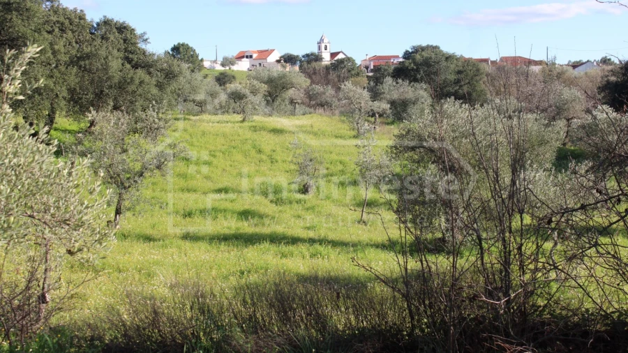 Terreno Agricola ou Rústico para Venda em Ninho do Açor e Sobral do Campo