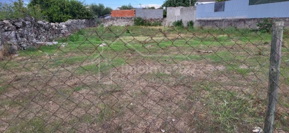 Terreno para Venda em Alcains