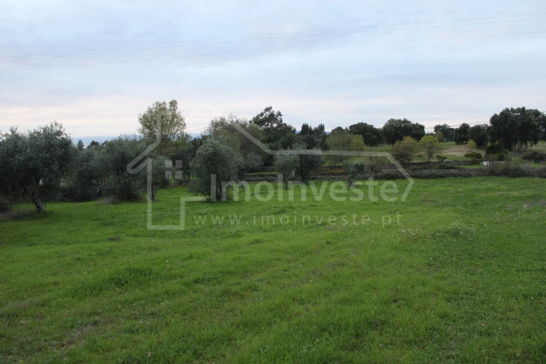 Terreno para Venda em São Miguel de Acha Foto 3
