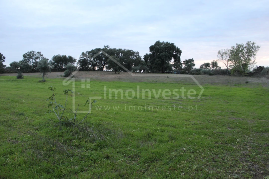 Terreno para Venda em São Miguel de Acha Foto 6
