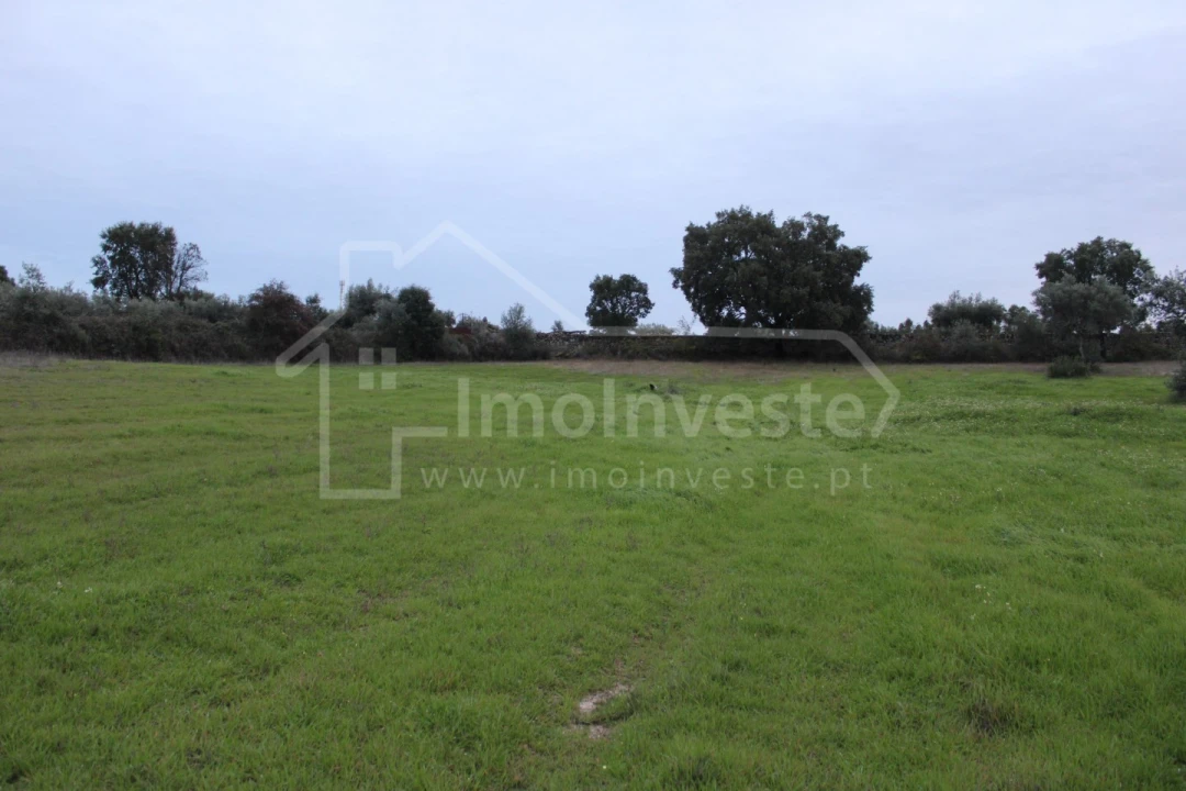 Terreno para Venda em São Miguel de Acha Foto 7