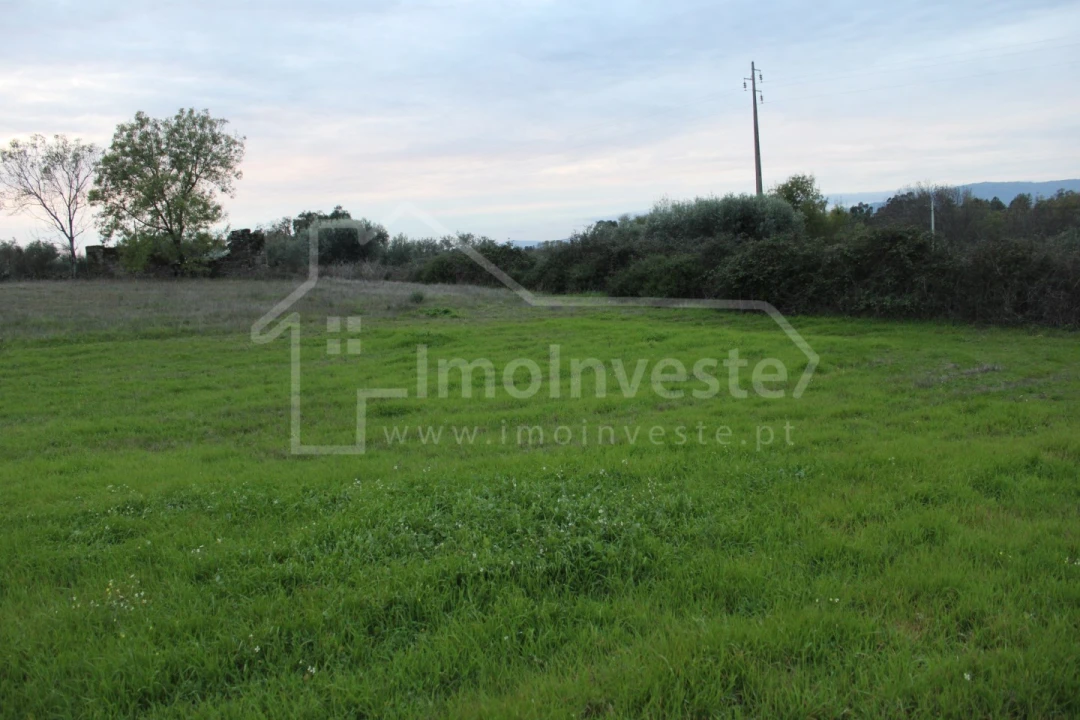 Terreno para Venda em São Miguel de Acha Foto 8