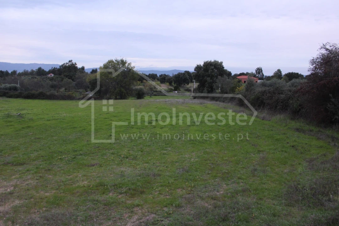Terreno para Venda em São Miguel de Acha Foto 9