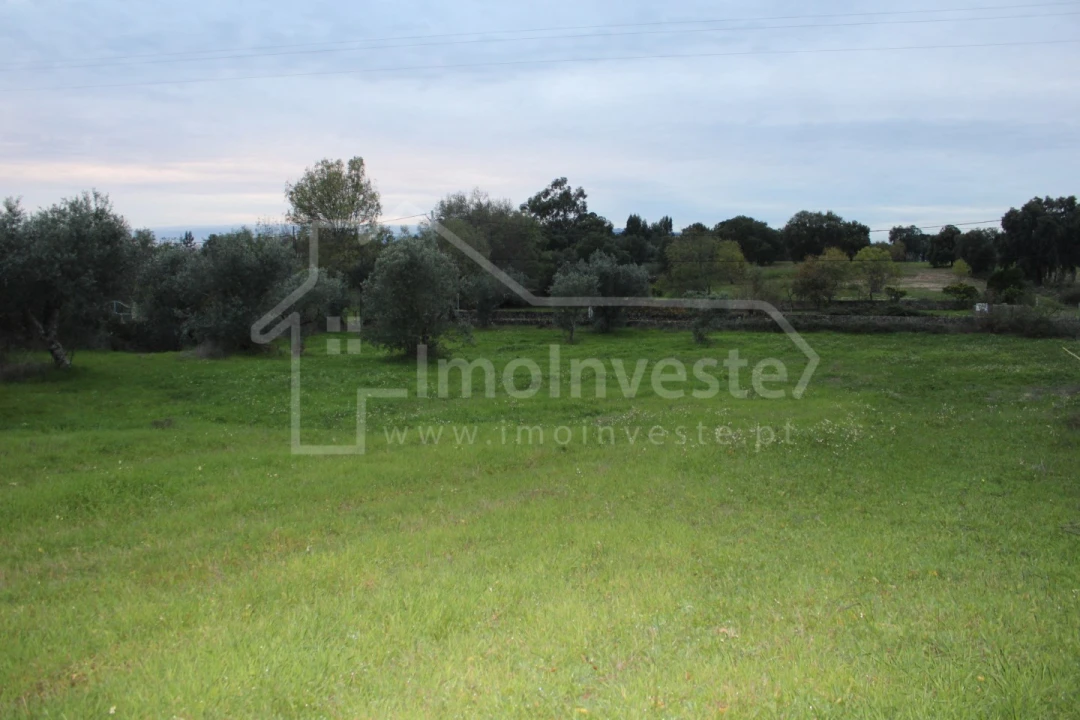 Terreno para Venda em São Miguel de Acha Foto 10