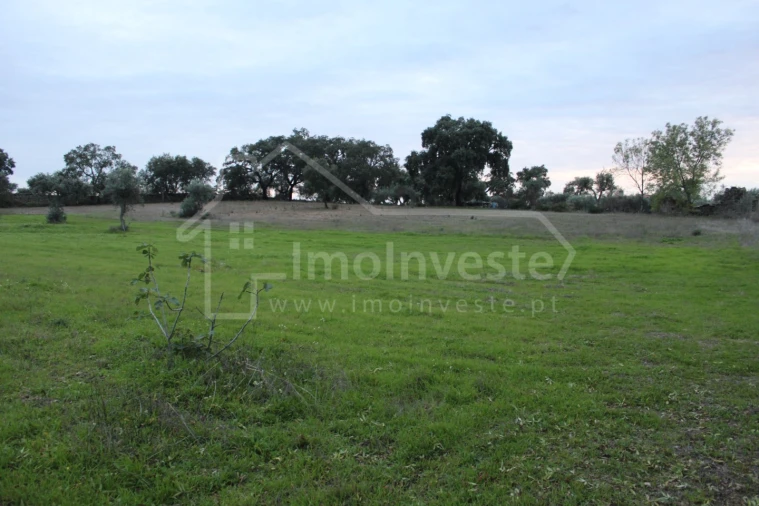 Terreno para Venda em São Miguel de Acha Foto 6