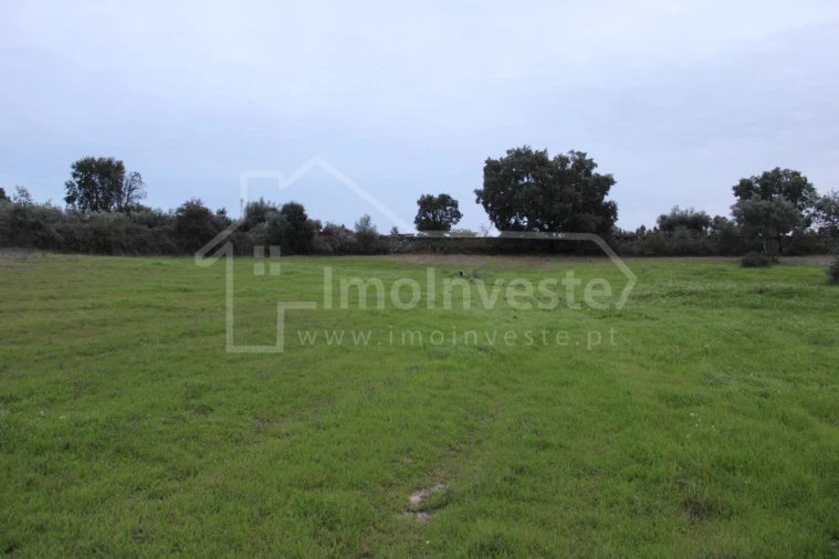 Terreno para Venda em São Miguel de Acha Foto 7