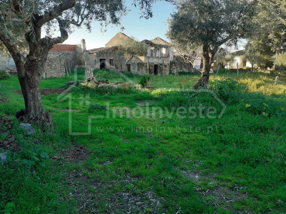 Terreno para Venda em Alcains Foto 2