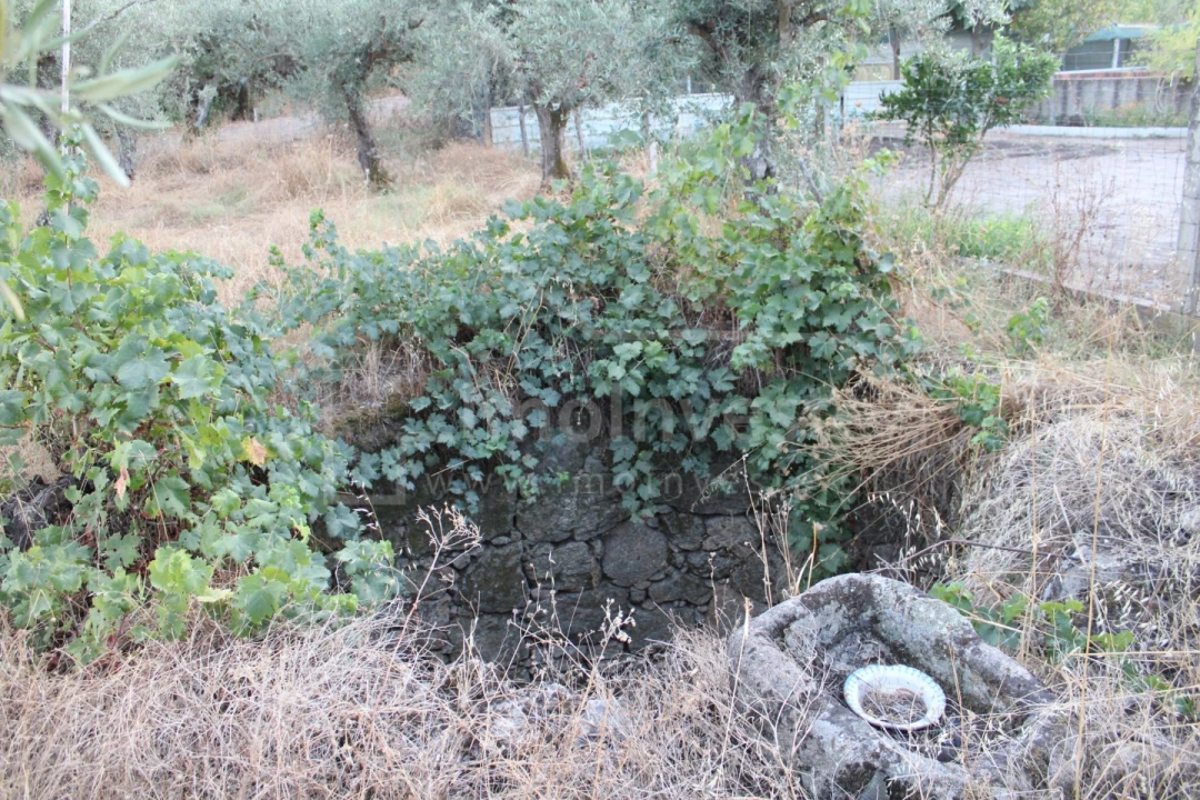 Terreno Agricola ou Rústico para Venda em Póvoa de Rio de Moinhos e Cafede Foto 2