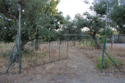 Terreno Agricola ou Rústico para Venda em Póvoa de Rio de Moinhos e Cafede